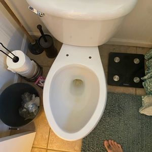 Meet your Posher, Forrest